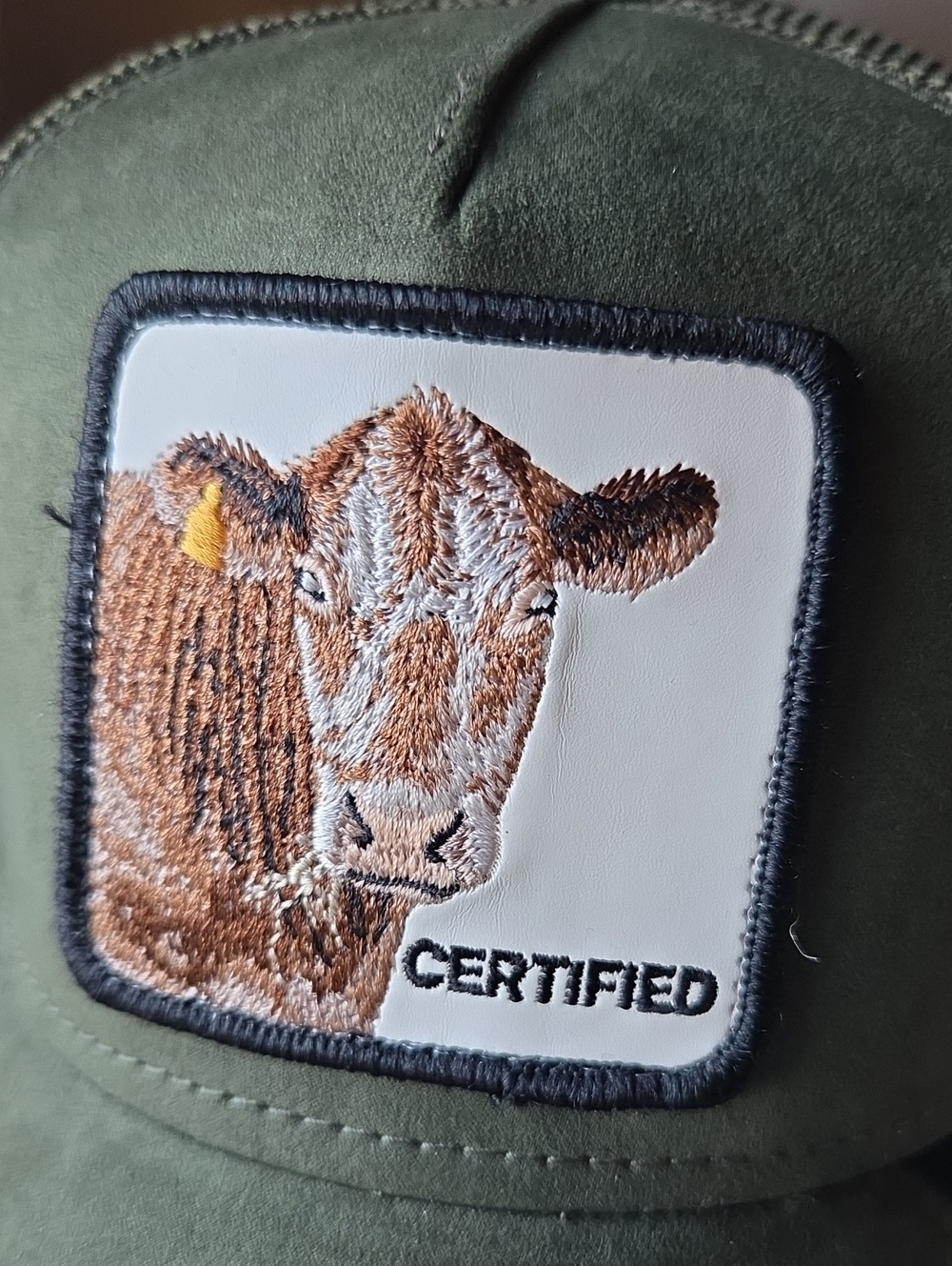 Goorin Bros The Suede Cow New - Picture 2 of 5